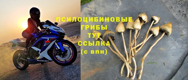 COCAINE Белокуриха