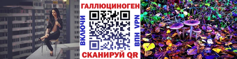 Купить закладки  Жуковский  Псилоцибиновые грибы Psilocybe 