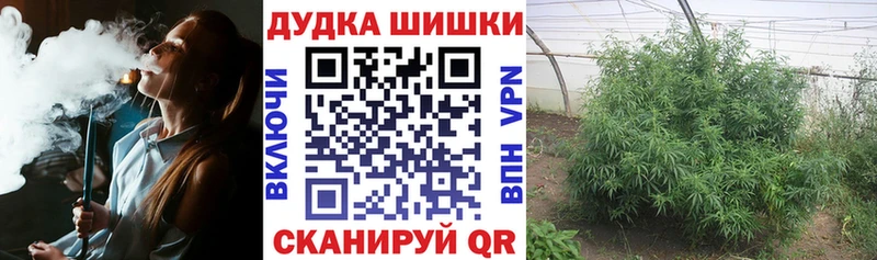Бошки марихуана план  Купить  Жуковский 